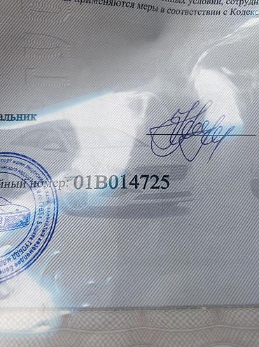 nomad transfer: Трансфер по Кыргызстану Ала Арча Встреча с Аэропорта и На Иссык Куль — 3