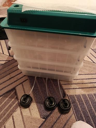 Инкубаторы: Полностью автоматический инкубатор для яиц с цифровым управлением — 3