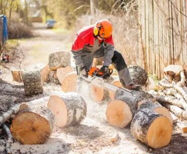 дрова мешками: Пилим деревья оплата договорная в зависимости от обьёма и сложности
