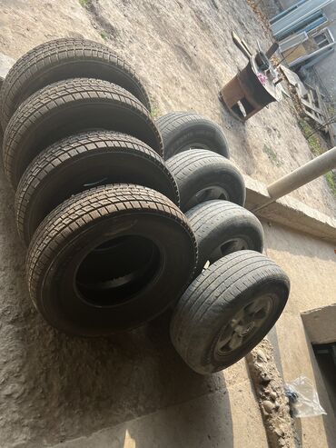 купить резину бу на 16: Шиналар 265 / 70 / R 16, Кыш, Колдонулган, Жол тандабастар (АТ/МТ), Кытай, Hilo