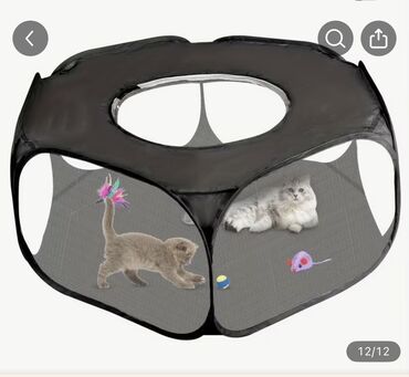 вольер для мини собак: Qatlana bilən mesh heyvan məkanı – pişik və balaca itlər üçün geniş