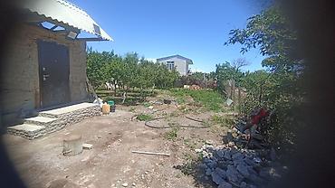 ат така: Продаю дачный участок с домом в г.Балыкчы, дачный кооператив — 4