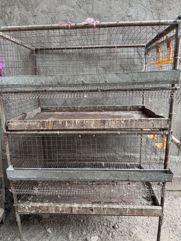 Товары и оборудование для с/х животных: Продается клетка для перепел — 4
