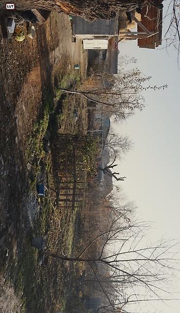старый талчок квартира: Жилой дом с большим участком и хозяйственными постройками - Отдельный — 3