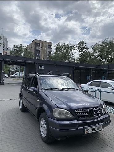 2 куб: Mercedes-Benz M-Class: 2002 г., 3.2 л, Автомат, Бензин, Внедорожник — 2