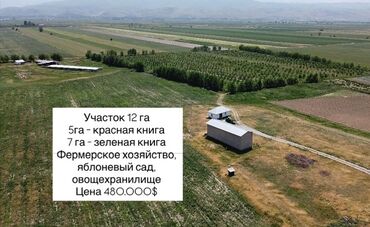 уй сатып алам бишкек: 1200 соток, Бизнес үчүн, Кызыл китеп, Техпаспорт, Сатып алуу-сатуу келишими