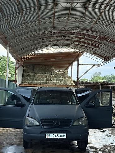 велтмейстер авто: Mercedes-Benz ML-Class: 1999 г., 3.2 л, Автомат, Газ, Внедорожник — 1