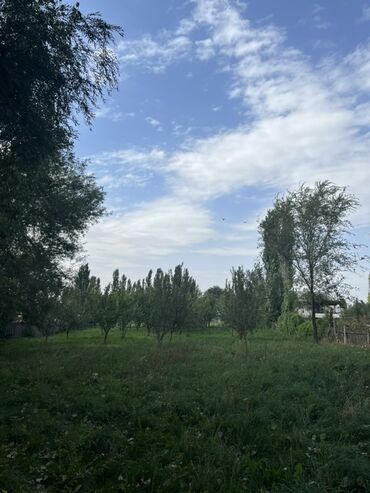 Продажа домов: Дом, 500 м², 6 комнат, Собственник, ПСО (под самоотделку) — 23