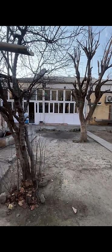 ecemide kiraye evler 300 azn 2025: 2 yataq otağı 1 zal. 4 sot qiymət 90 min razılaşma ünvan Paşdavoy — 4