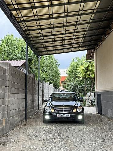 ромашки на мерс: Mercedes-Benz E-Class: 2004 г., Седан — 6