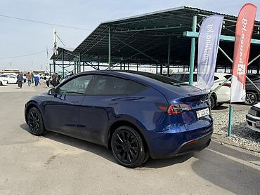 Tesla: Tesla Model Y: 2023 г., Вариатор, Электромобиль, Кроссовер — 5