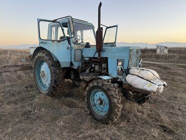 Тракторы: Трактор Мтз-80 после кап ремонта с прицепом самосвал на документах и