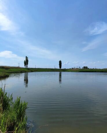 Продажа участков: 600 соток, Для бизнеса, Красная книга — 34