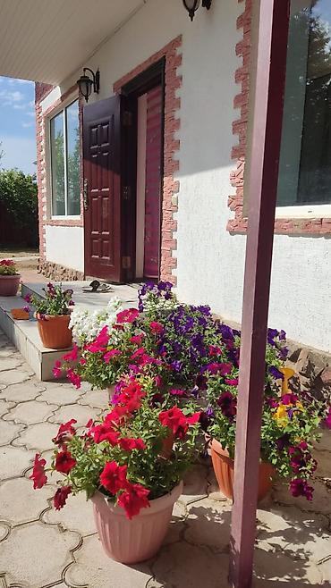 отель ыссык куль: 🏡 ГОТОВЫЙ ГОСТЕВОЙ ДОМ НА ИССЫК-КУЛЕ — ГОТОВЫЙ БИЗНЕС ДЛЯ ПОЛУЧЕНИЯ — 8