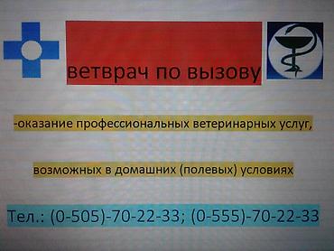 Животные: Ветеринар на выезд - оказание профессиональных и качественных — 2