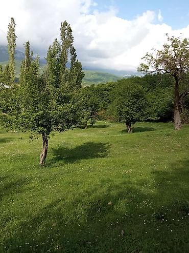 saatlı rayonu: 60 sot, Tikinti, Mülkiyyətçi, Kupça (Çıxarış) — 4