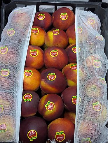 персик: Свежие фрукты: Персики и Виноград | Прямые поставки из Узбекистана 🍑 — 9