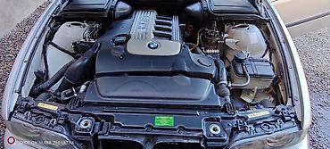 bmw e39 дизель: BMW 5 series: 2002 г., 2.5 л, Автомат, Дизель, Седан — 10