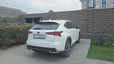 Lexus: Lexus NX: 2020 г., Гибрид, Кроссовер — 3