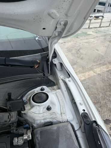 Kia: Kia K3: 2019 г., 1.6 л, Бензин, Седан — 20