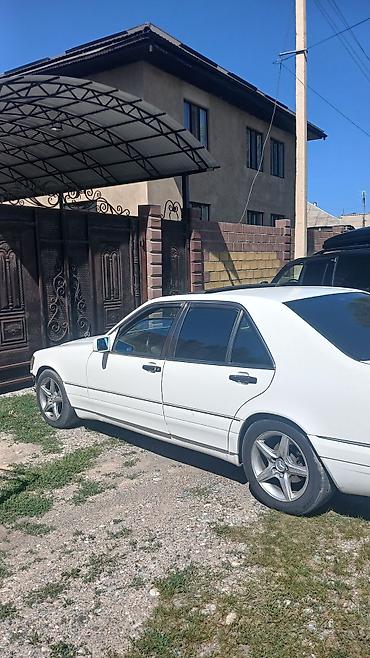 vip razbor: Mercedes-Benz S-Class: 1995 г., 3.2 л, Автомат, Бензин, Седан — 3