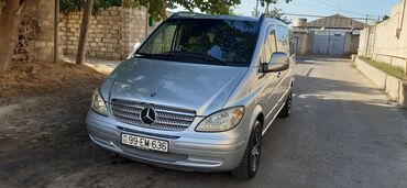 bakı qax avtobus: Minivan, Bakı - Quba, 8 Oturacaq