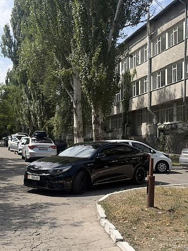 Kia: Kia K5: 2019 г., 2 л, Автомат, Бензин, Седан — 5