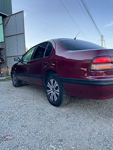 honda civic сидан: Nissan Cefiro: 1996 г., 2 л, Механика, Бензин, Седан — 4