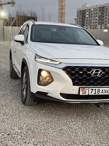 ej251: Hyundai Santa Fe: 2019 г., 2 л, Дизель — 2