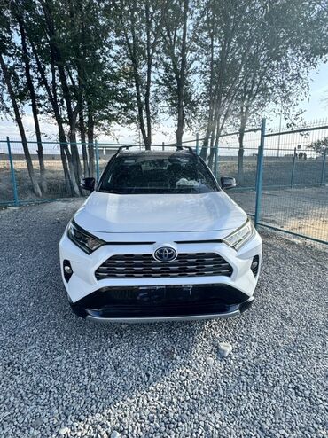 семиместные машины: Белый кроссовер Toyota RAV4 с чёрной крышей и чёрными литыми дисками