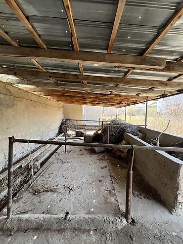 Продажа коттеджей и домов: Продаётся уютный дом в селе Кунтуу! 🏡 Участок 18 соток, дом 70 м² — 4 — 10