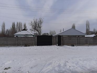 Долгосрочная аренда домов: Продаётся 2 дома на одном участке в Петропавловке. Торг уместен — 7