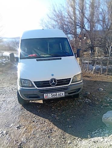 w210 e320: Пассажирский микроавтобус Mercedes-Benz Sprinter (длинная база — 8