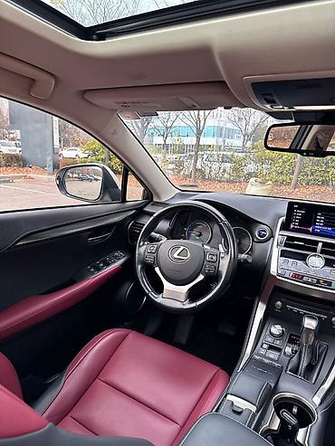 Lexus: Lexus NX: 2019 г., Гибрид, Кроссовер — 9