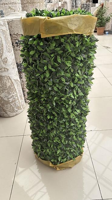 kələm gülü: 🌿 Yaşıl Hasar – Təbii Görünüş, Uzunömürlü Keyfiyyət! 🌿 🏗 Paslanmaz — 8
