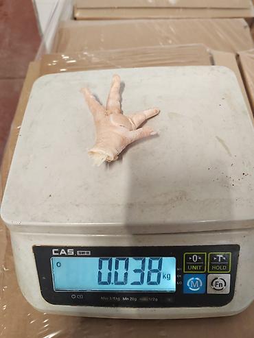 инкубатор золушка: 🐔 Замороженные куриные лапы категории A+ Средний вес одной лапы: 35 г — 8