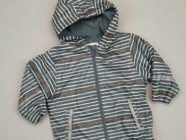 trencz w kratkę: Transitional jacket, Lupilu, 1.5-2 years, 86-92 cm, condition - Very good