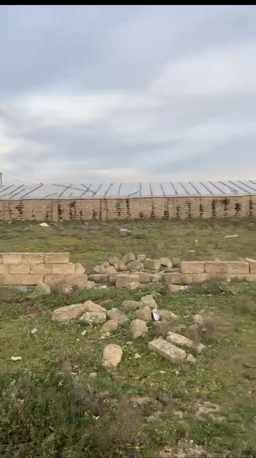 qubada evler: Turkanda 12 sot torpaq satilir. Denize yaxindi. Sotu 1700 manatdan