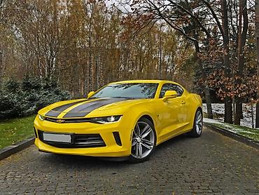 шевралет камаро: Chevrolet Camaro: 2019 г., 2 л, Купе — 1