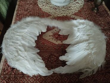 костюмы на хэллоуин в баку: Məhsul: Ağ “mələk qanadları” aksesuarı - Material: Ağ tük və