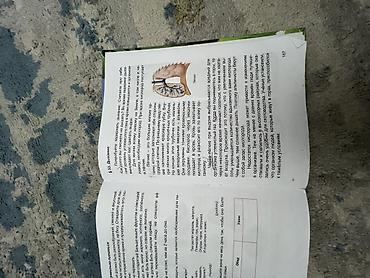 9 класс биология кыргызча: Книга 3 класса Б/у — 1