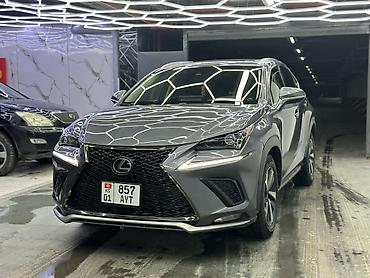 Lexus: Lexus NX: 2020 г., Бензин, Кроссовер — 2