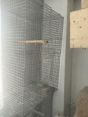 qusxana: Metalkarkas quş qəfəsləri – iri həcmli model Məhsul təsviri: - — 3