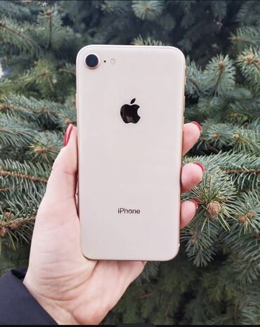 взять телефон в рассрочку без банка: IPhone 8, Золотой