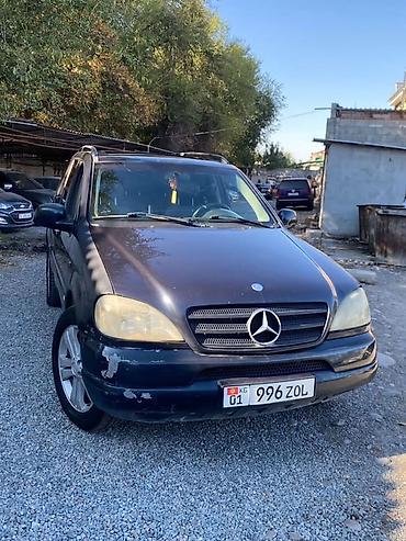 Mercedes-Benz M-Class: 1999 г., 3.2 л, Автомат, Бензин, Кроссовер