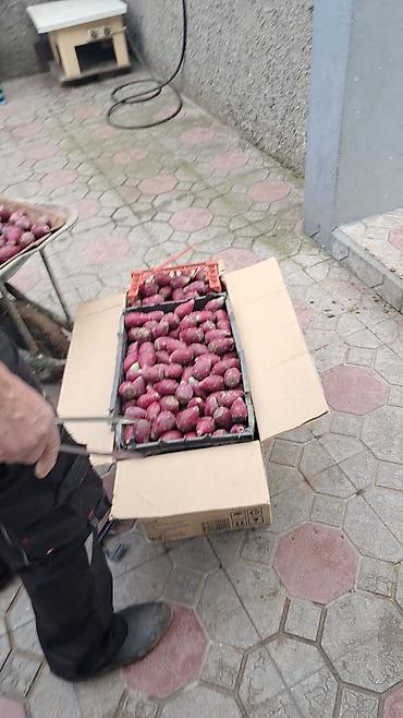 bendir: Məhsul: kaktus meyvesi (qızılcıl/opuntiya meyvəsi) – bənövşəyi rəngli — 5