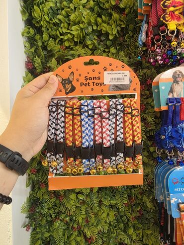 Xaltalar, qayışlar və tasmalar: Pişik və mini itlər üçün boyunbağılar. Taksilə çatdırılma xidmətimiz — 28