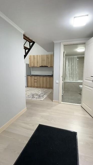 Студия с антресолью, 40м² Планировка и особенности: - Высокие потолки