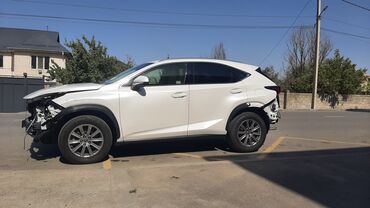 нексия машина цена: Lexus NX: 2019 г., 2 л, Автомат, Бензин, Кроссовер