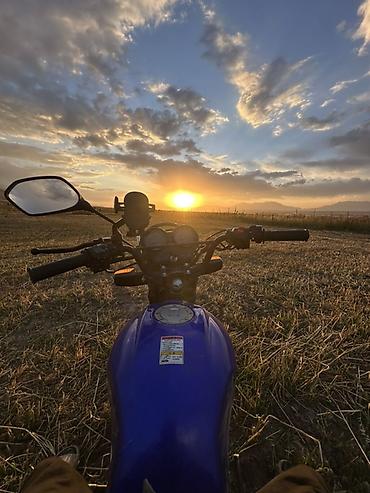 suzuki sv650 купить: Классический мотоцикл Suzuki, 250 куб. см, Бензин, Взрослый, Б/у — 3